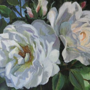 2 White Roses